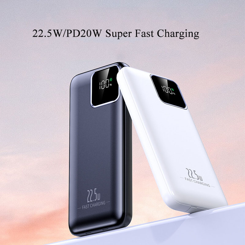 20000 mAh Power Bank Tragbares – Portable Charger 20000Mah Bewertung und Preis